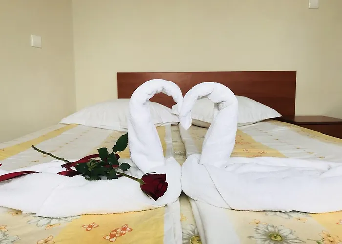 Markovi 招待所 3*